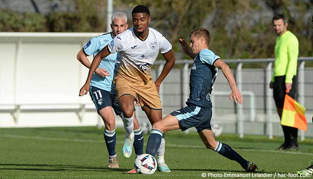 Large revue d’effectif