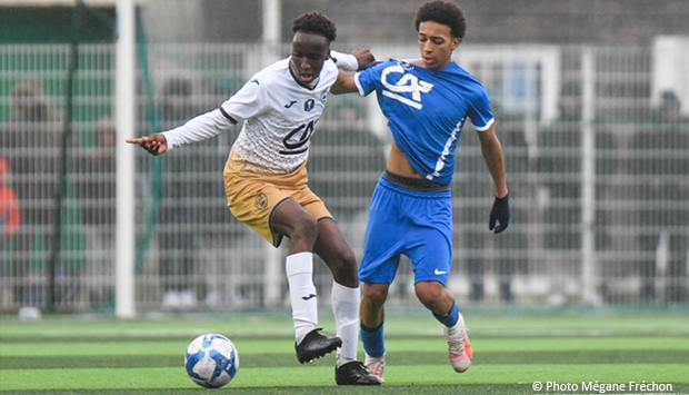 Gambardella : l'essentiel !